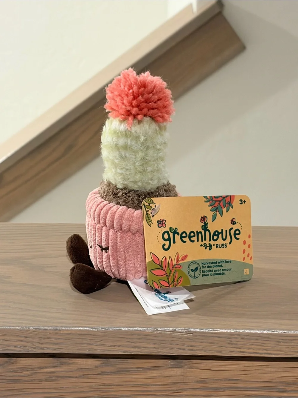 🌱 Greenhouse Russ Mara Flowering Cactus Mini Plush Potted Plant Corduroy 6” BNWT